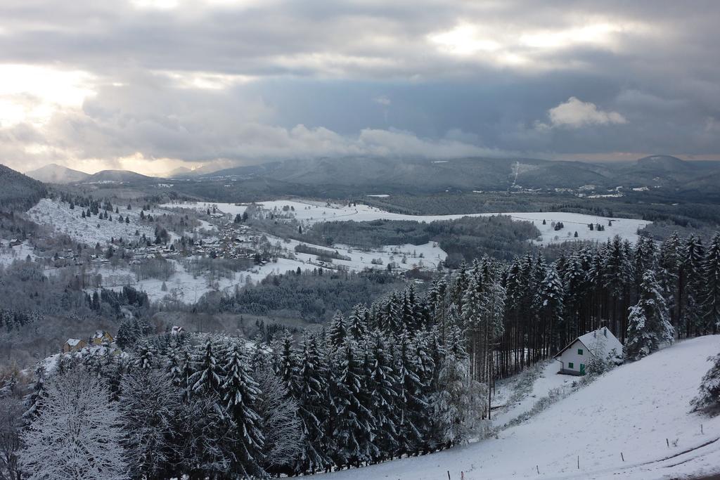 Gite Schlitteur Et Sapiniere Breitenbach Exterior foto