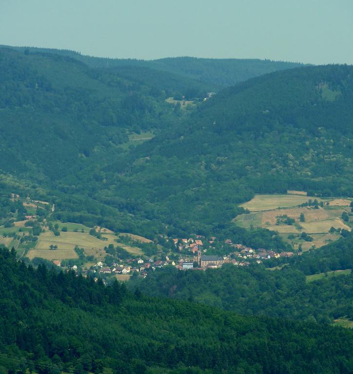 Gite Schlitteur Et Sapiniere Breitenbach Exterior foto